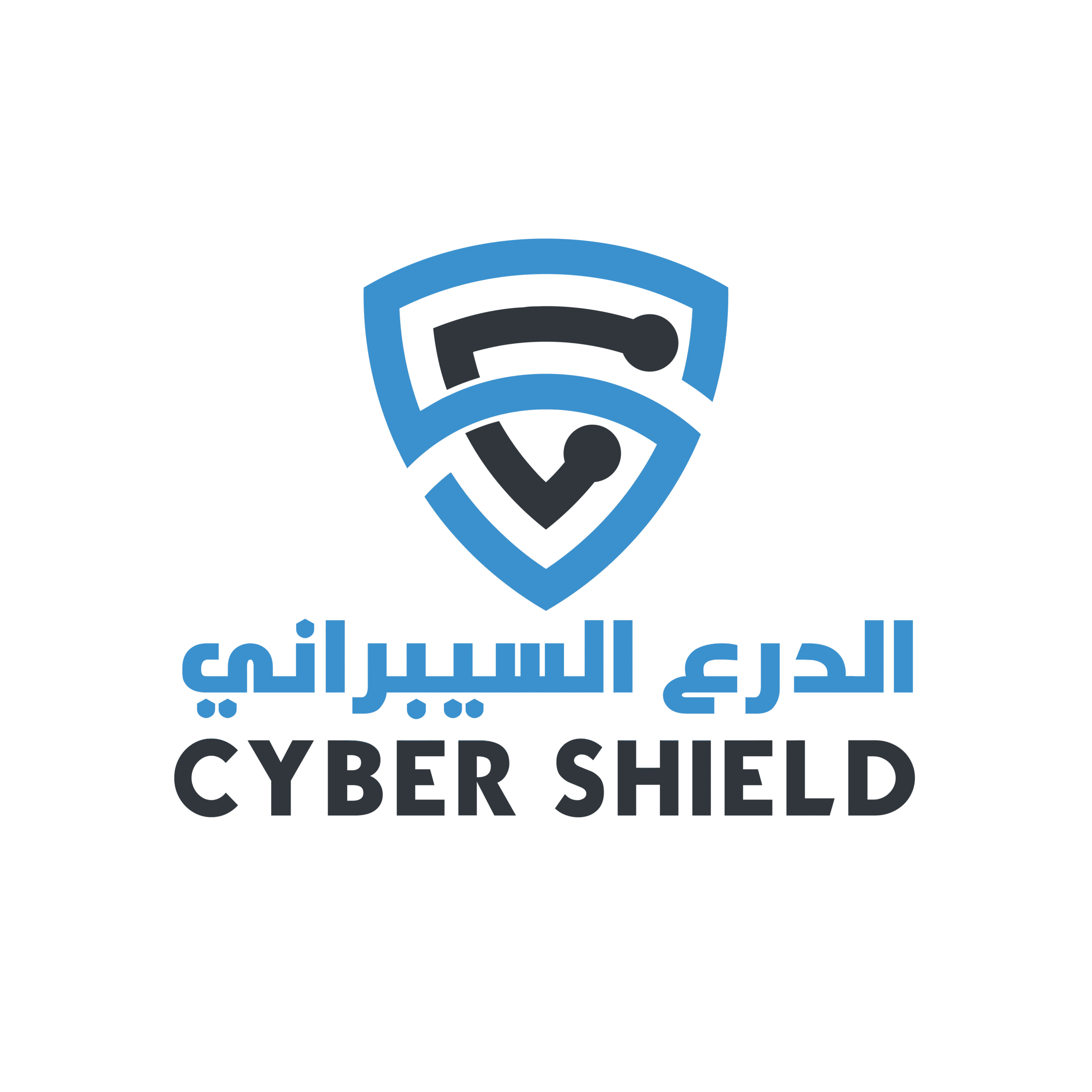 Cybershield